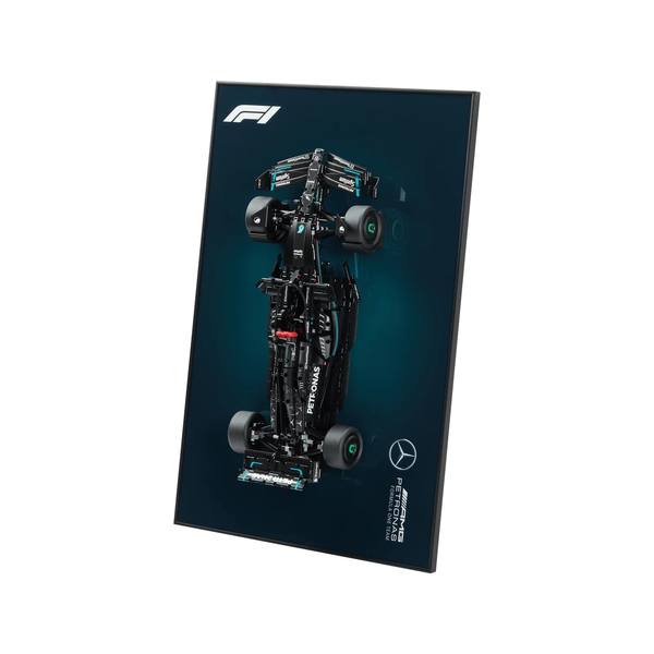 Technic Mercedes-AMG F1 W14 E Performance (42171)